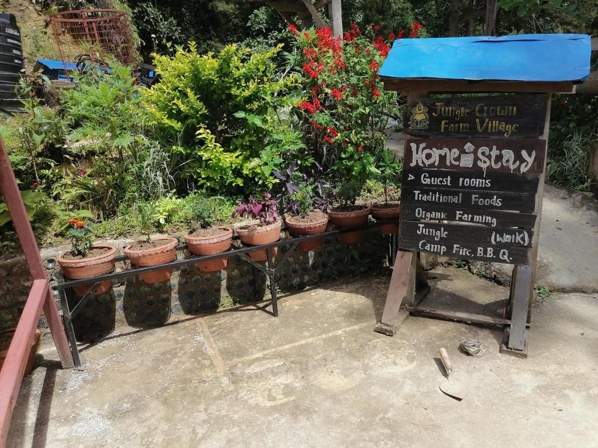 Jungle Crown Organic Homestay Nagarkot Bagian luar foto