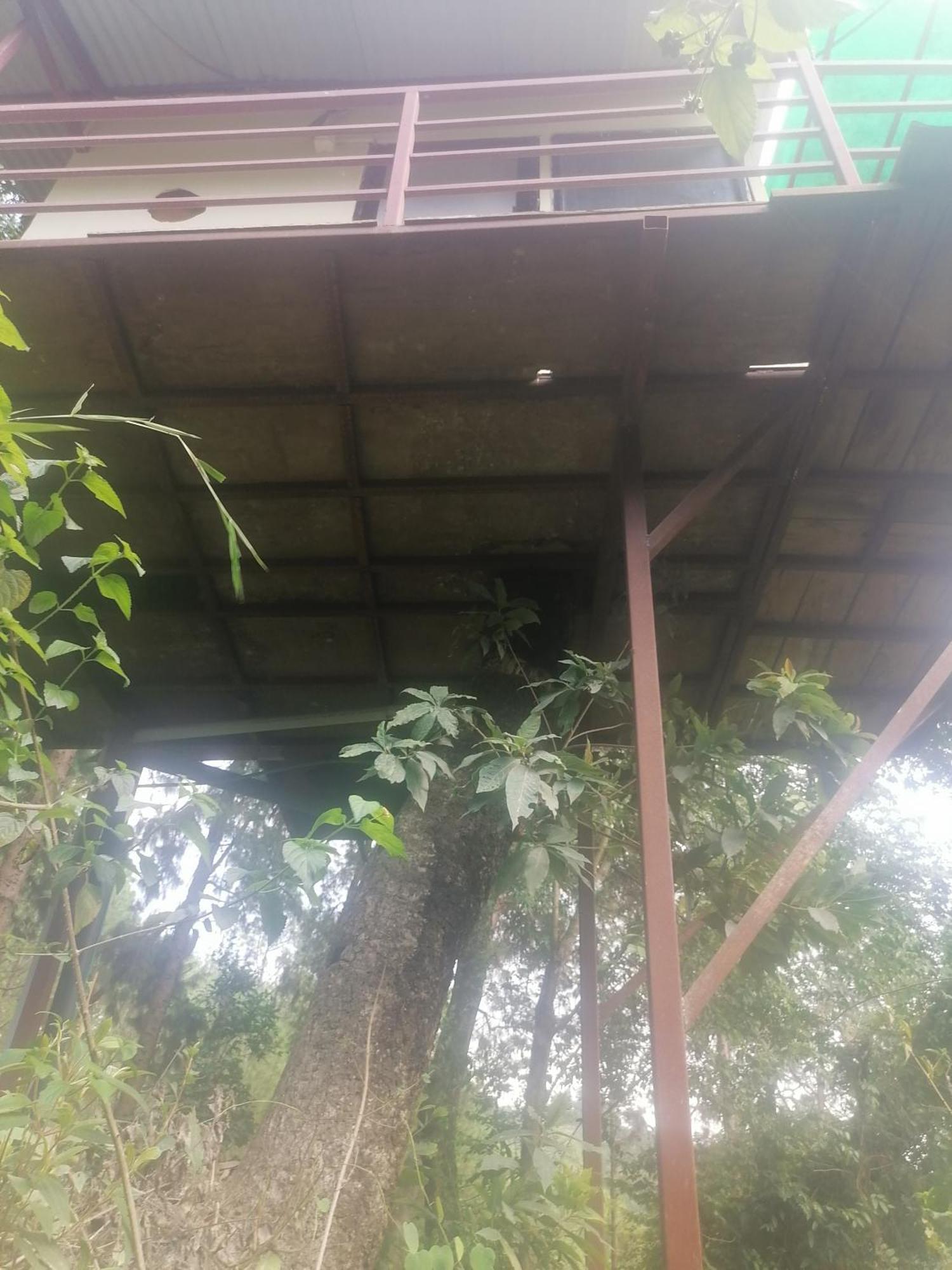 Jungle Crown Organic Homestay Nagarkot Ruang foto