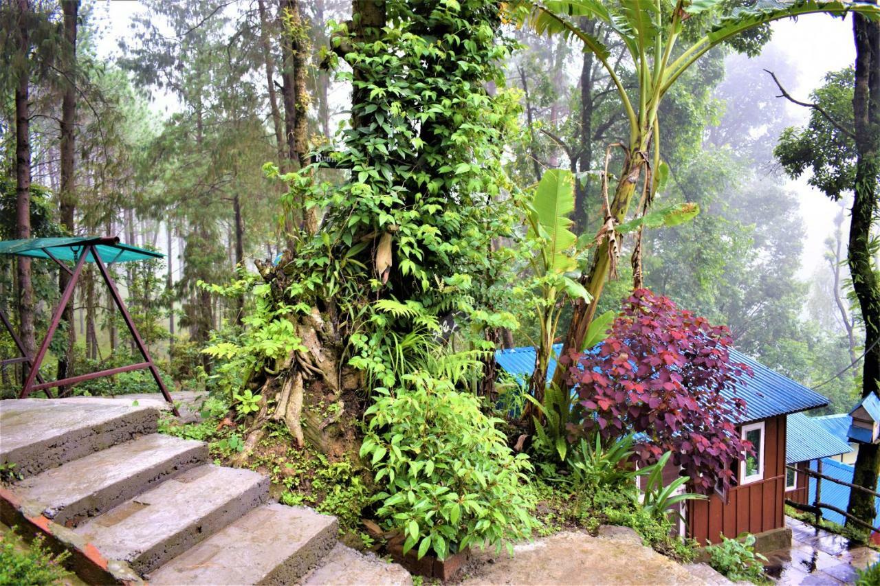 Jungle Crown Organic Homestay Nagarkot Bagian luar foto