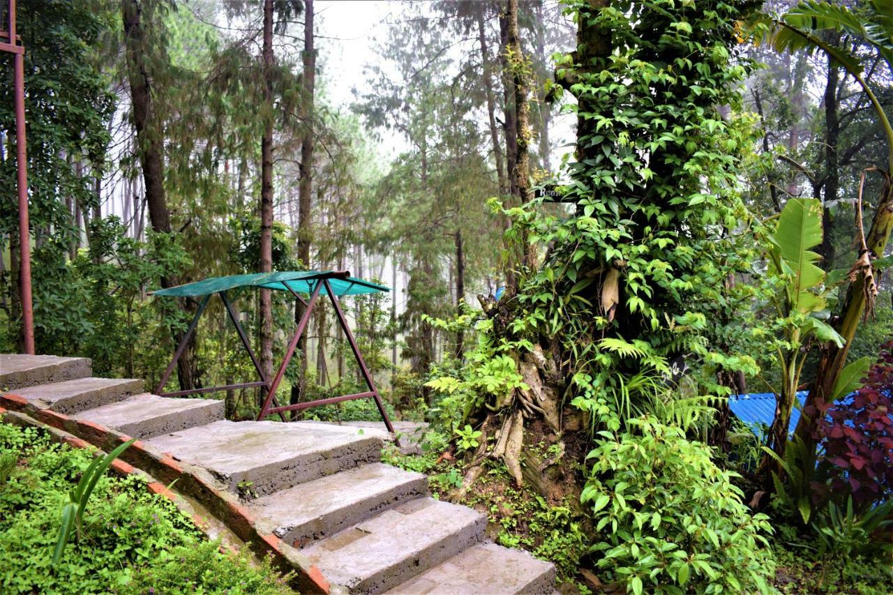 Jungle Crown Organic Homestay Nagarkot Bagian luar foto